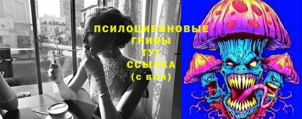 МДПВ Алексин