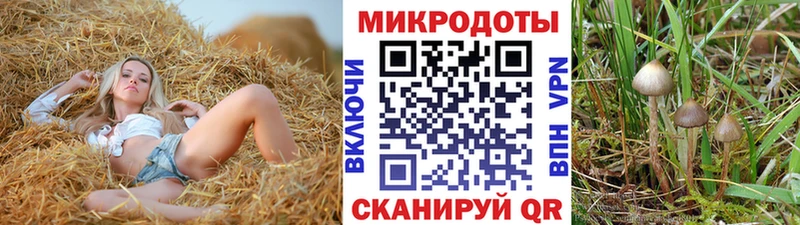 Псилоцибиновые грибы Magic Shrooms  Ликино-Дулёво 